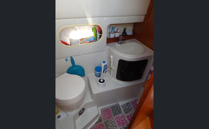 Marino Barracuda Fly-kuva-2